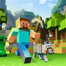 Minecraft Editor